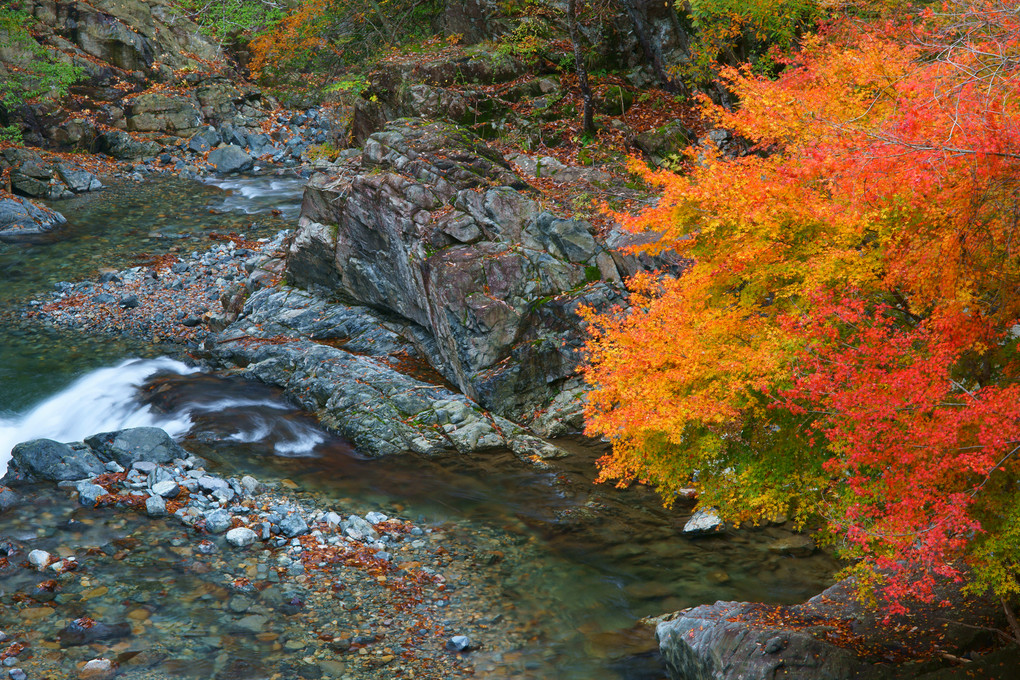 秋彩の渓流