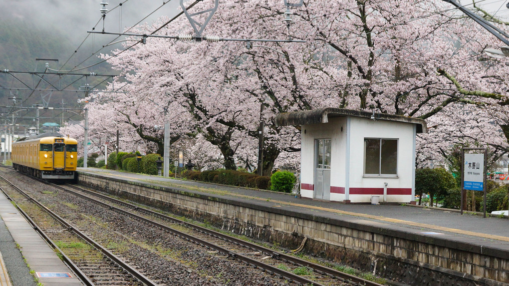 桜の木野山駅