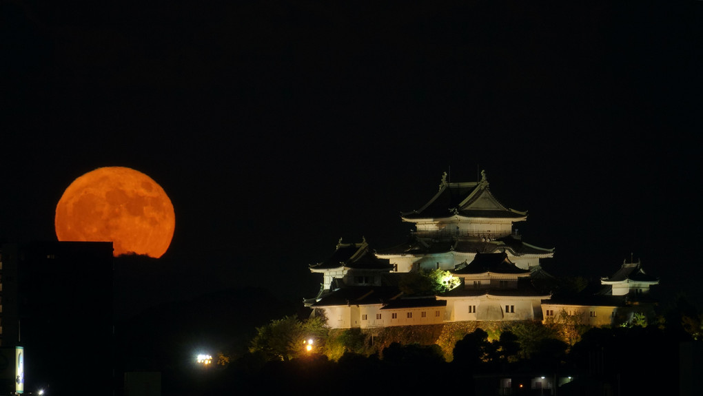 満月と和歌山城