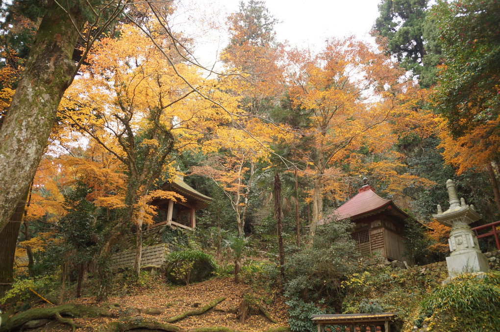 石老山顕鏡寺１２月１０日の遅い紅葉