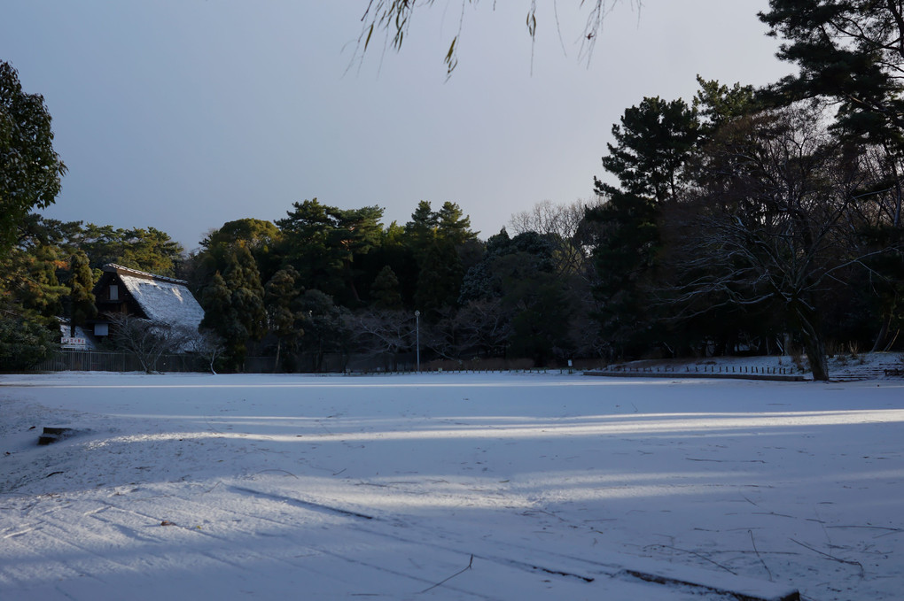 大阪雪の日（服部緑地公園）