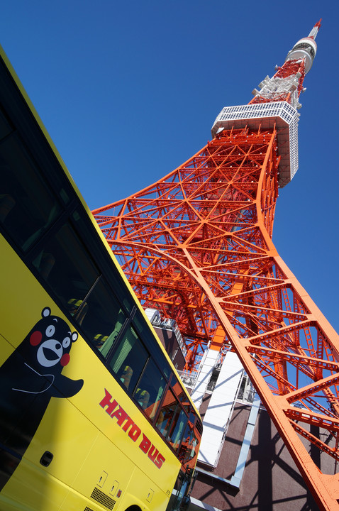 くまモン「これが東京タワーかぁ！」