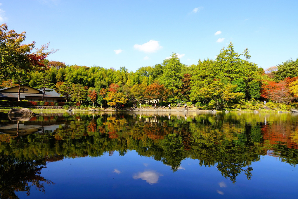 秋めいて＠昭和記念公園(2023.11.9)