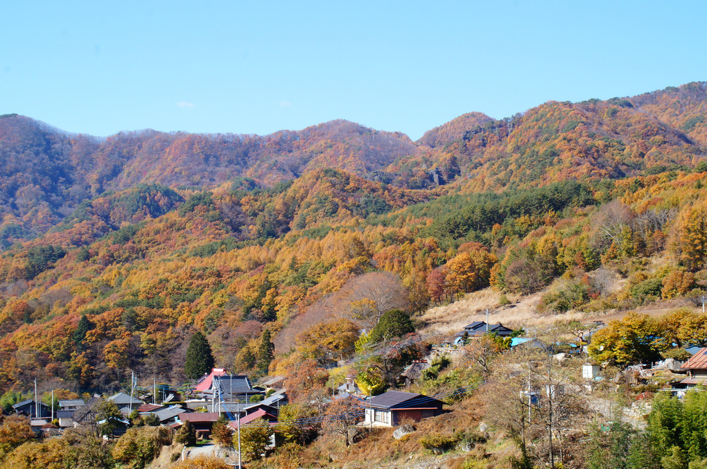 山里の紅葉風景