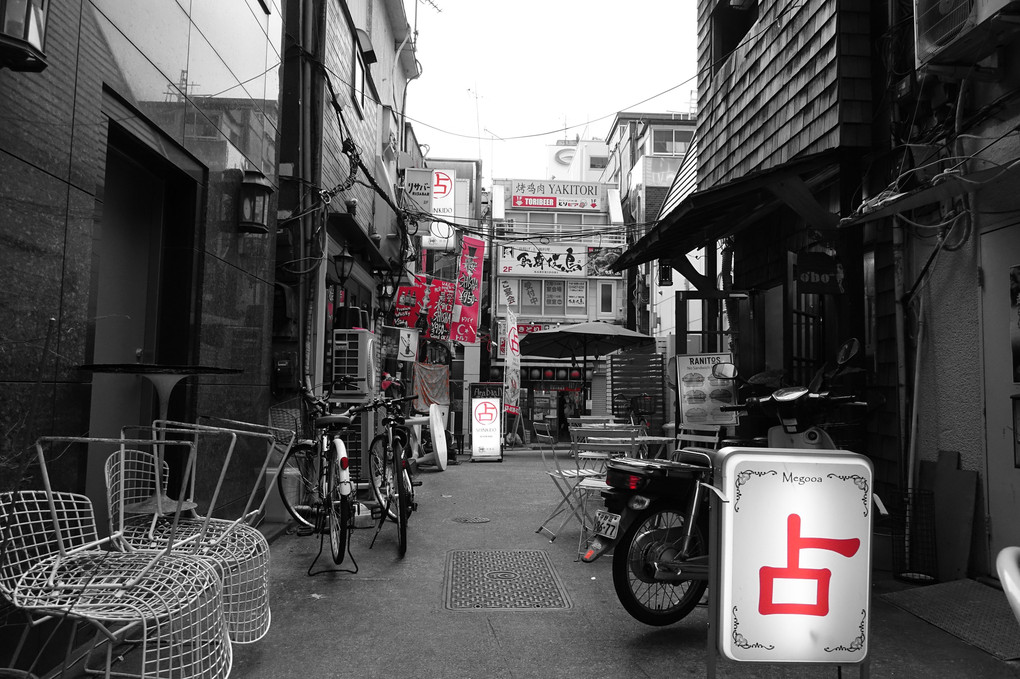 新宿スナップ（3）　歌舞伎町一番街