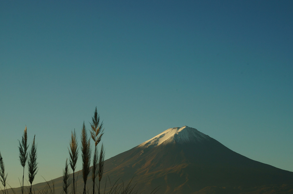 富士山 from 山中湖