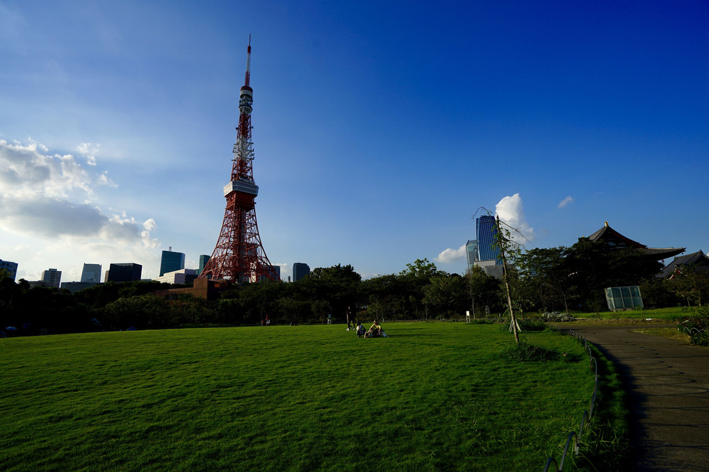 夏の東京タワー