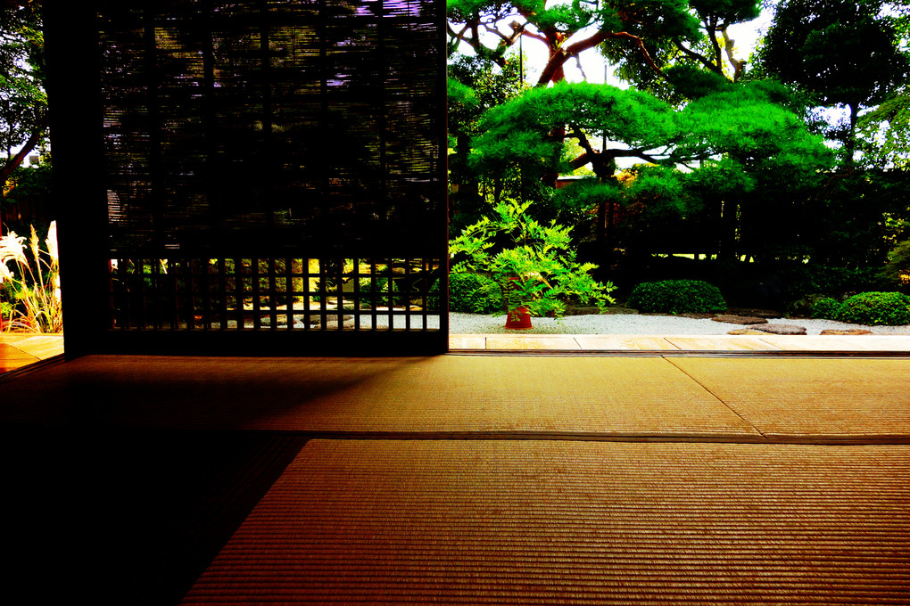 日本の庭。