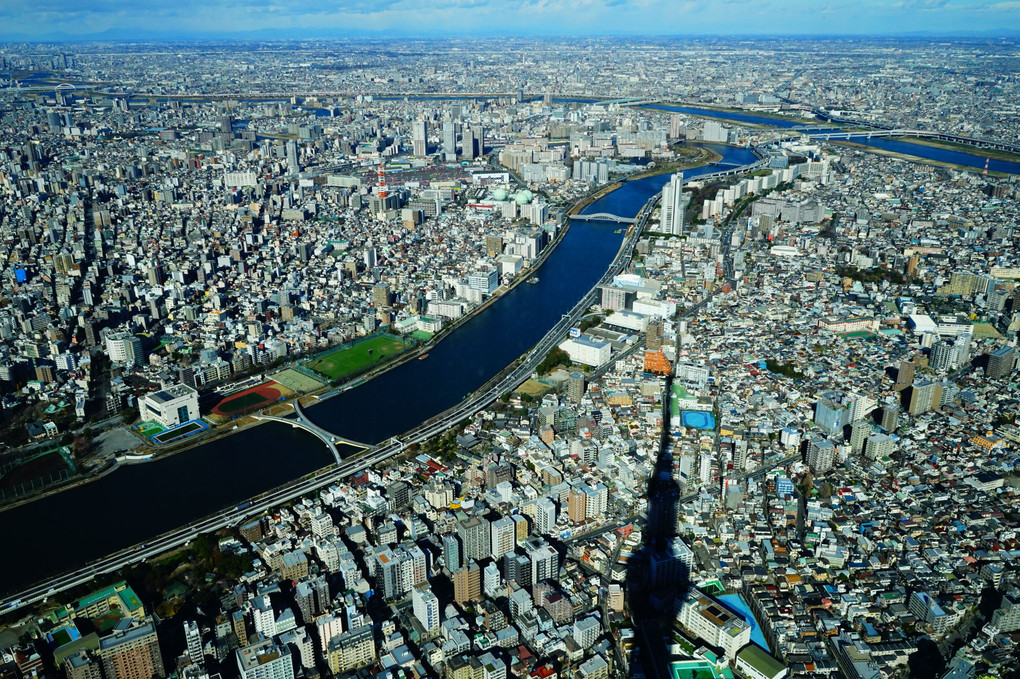 東京の街とスカイツリー