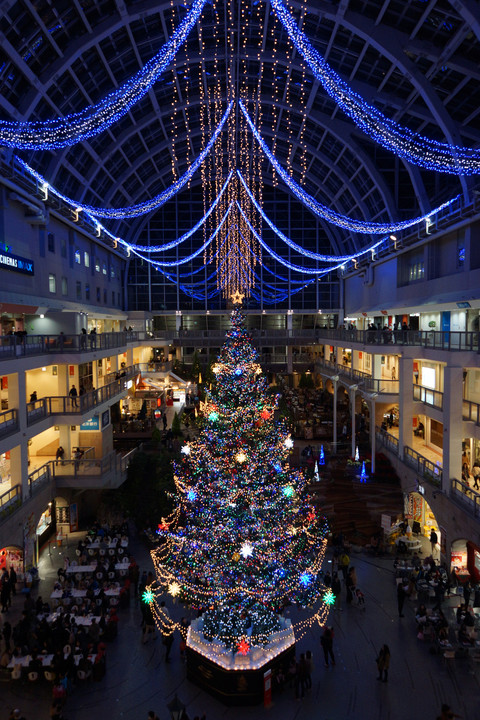 サッポロファクトリークリスマスツリー　去年と今年