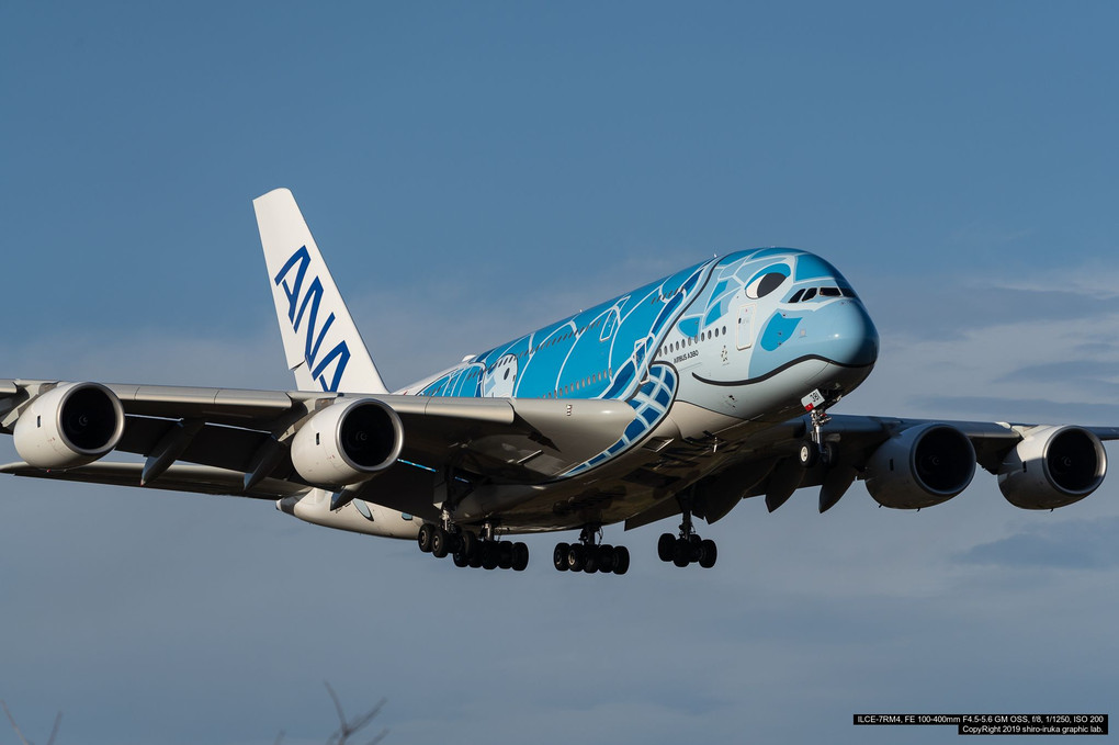 ANA A380 FlyingHONU @11/18NRT