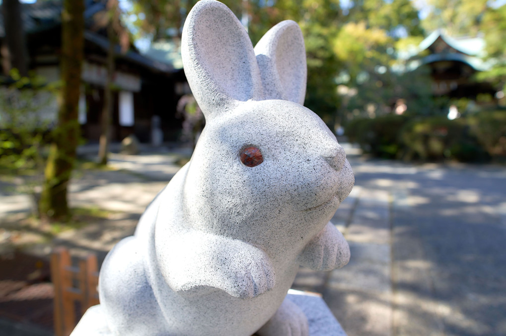 京都の因幡の白兎さん達