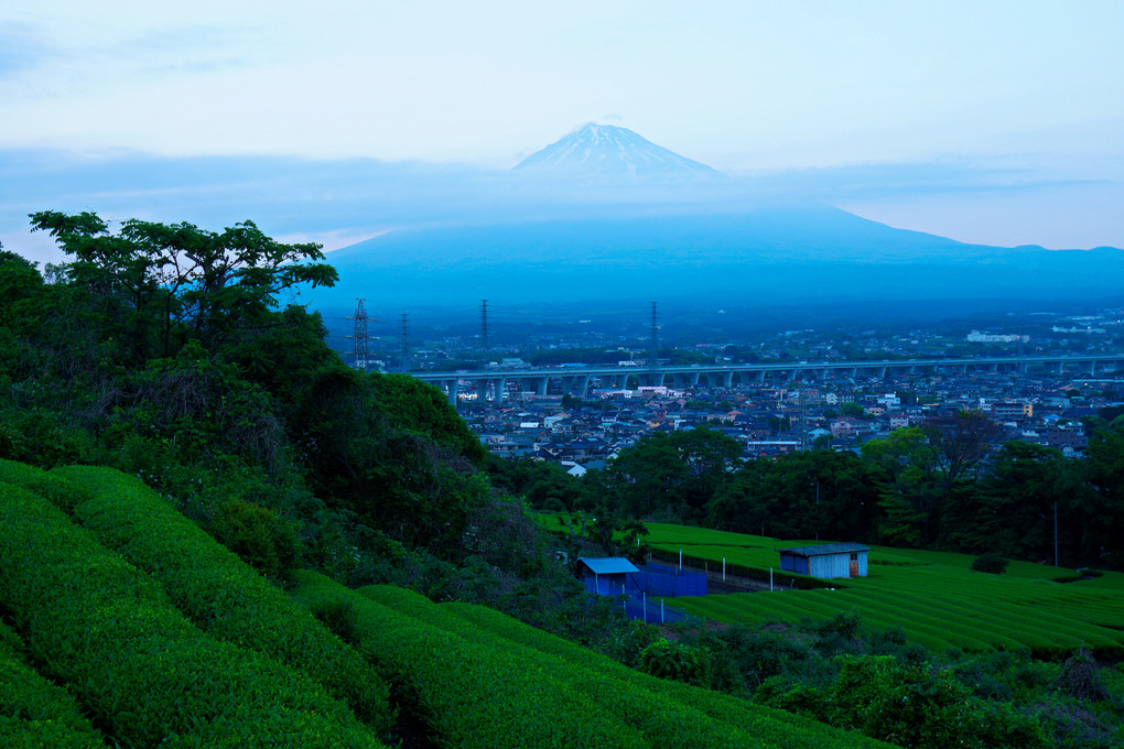 岩本からの富士