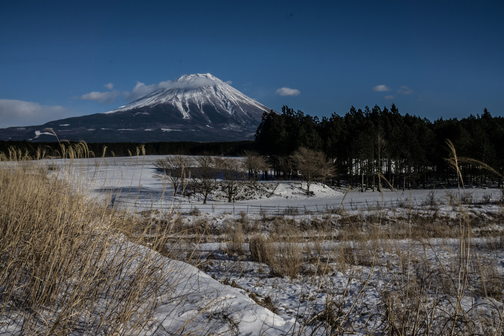 新雪踏み富士山撮影
