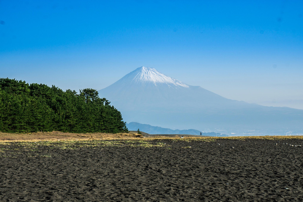 冠雪の富士山、清水めぐり