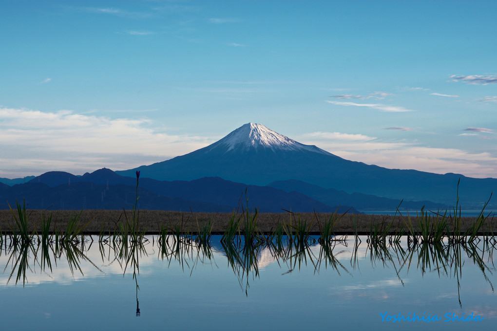 Mt Fuji with pond reflection