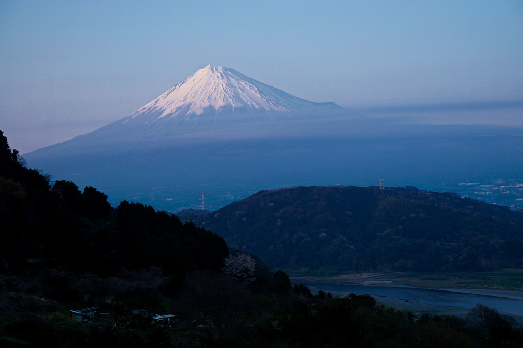春霞の富士