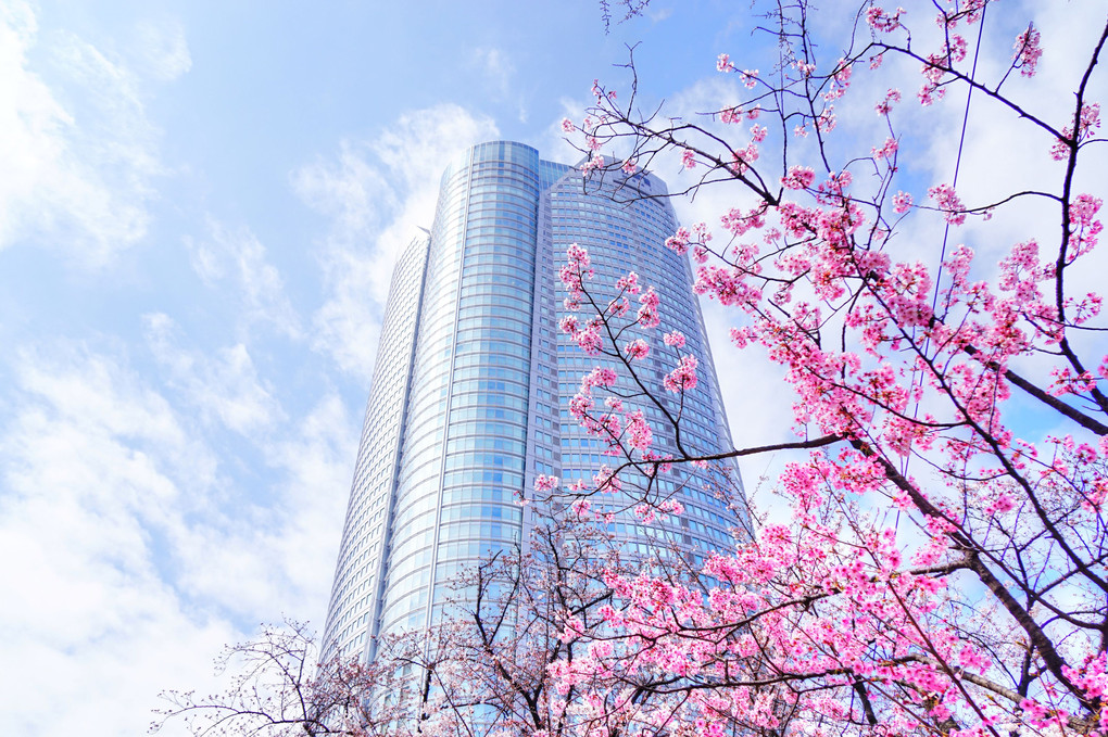 東京の春
