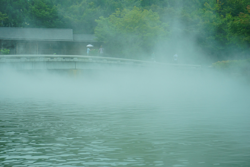 池の霧