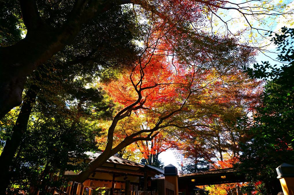 水戸徳川家の庭園