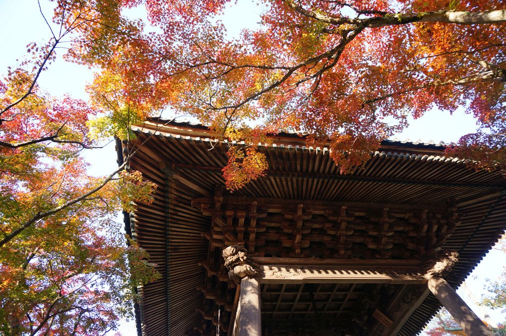 修禅寺の秋模様
