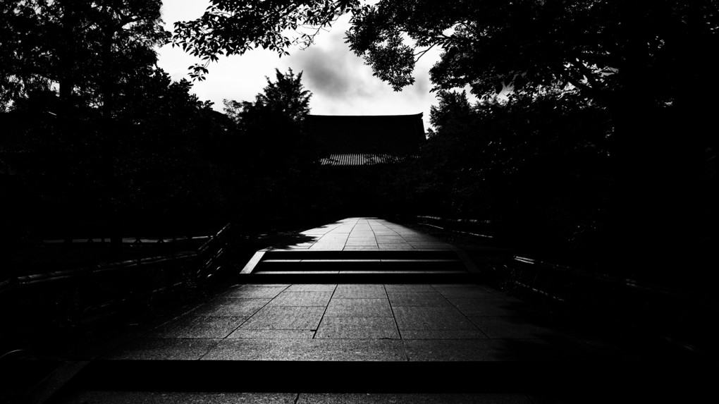 京都の智積院で撮った参道の写真が・・・