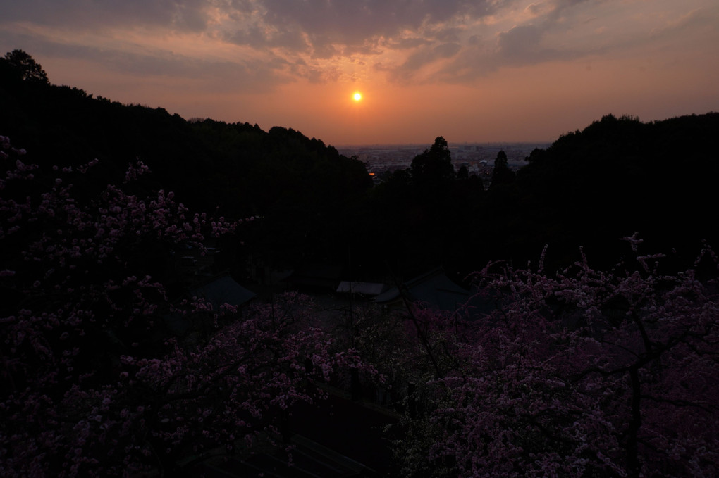 大県神社の梅＆夕日
