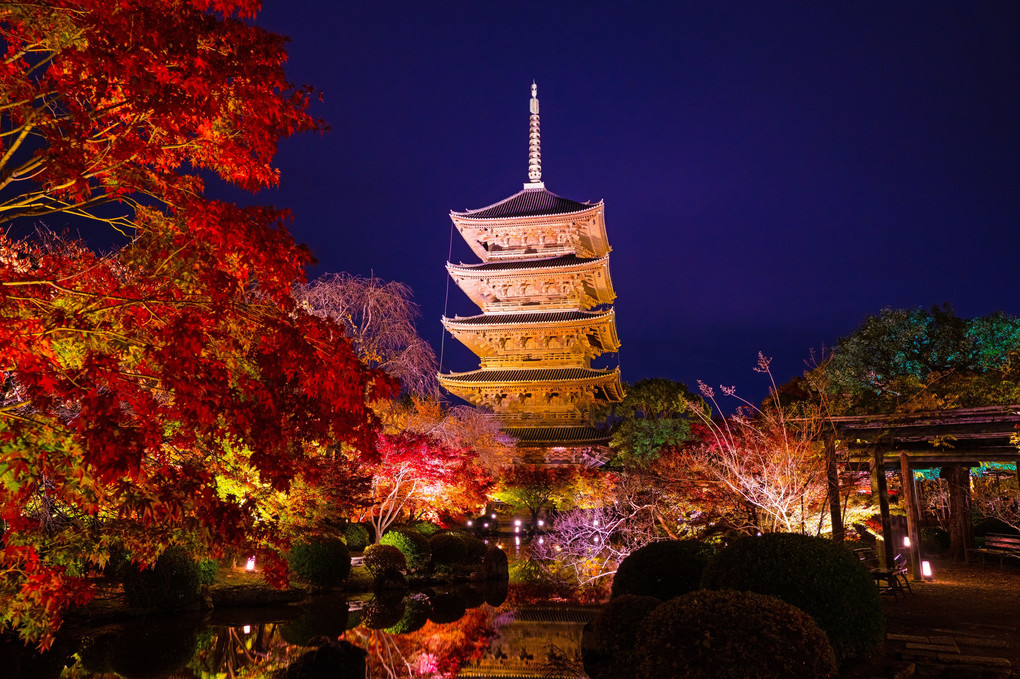東寺の夜景