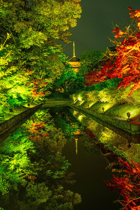 東寺の夜景