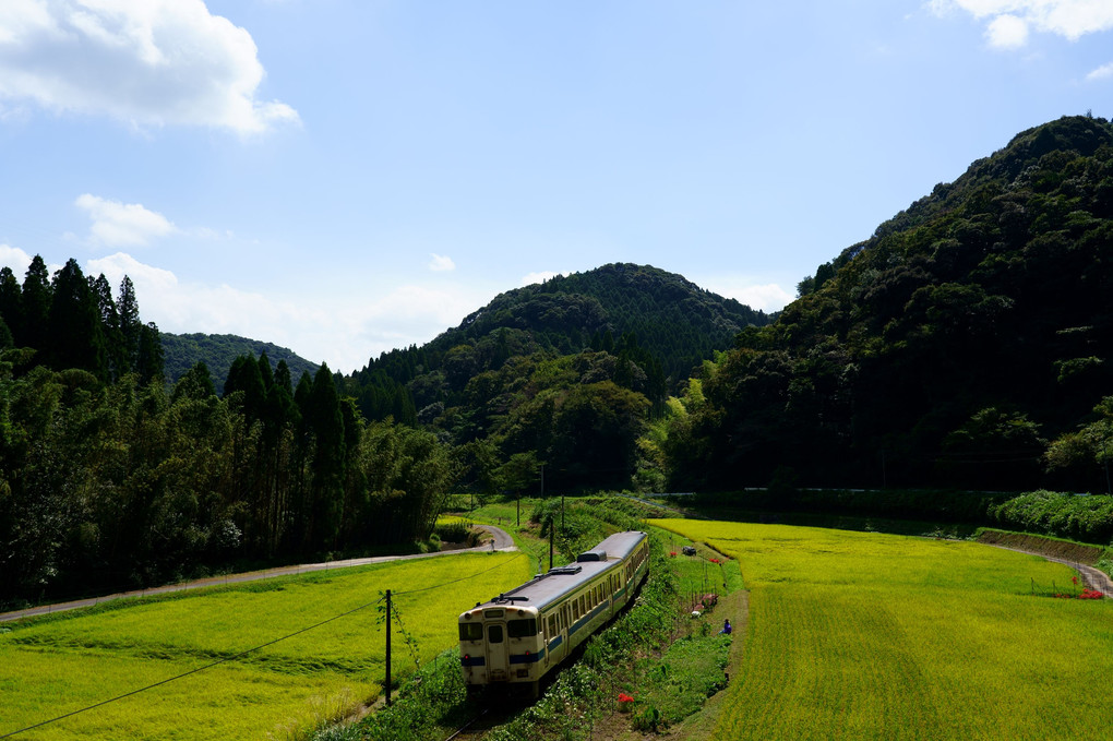 田園風景を駆け抜ける列車