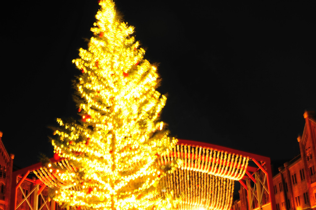 赤レンガ倉庫のクリスマスツリー