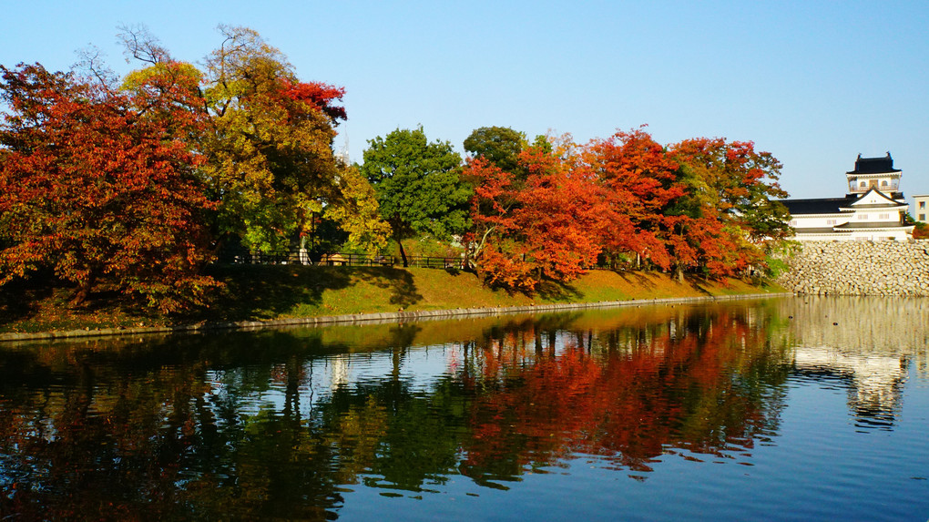 富山城の秋