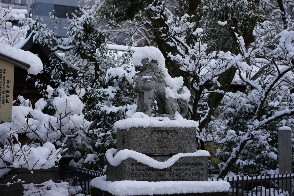 京都は大雪