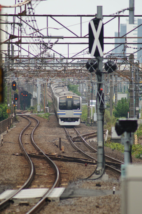 横須賀線、湘南新宿ライン　あれこれ