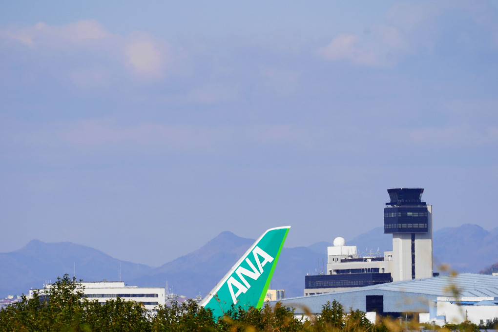 伊丹空港に居た…ANA　Green　Jet