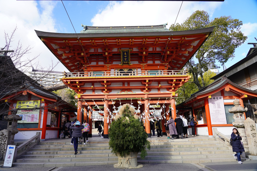 神戸「生田神社」の…「杉盛」