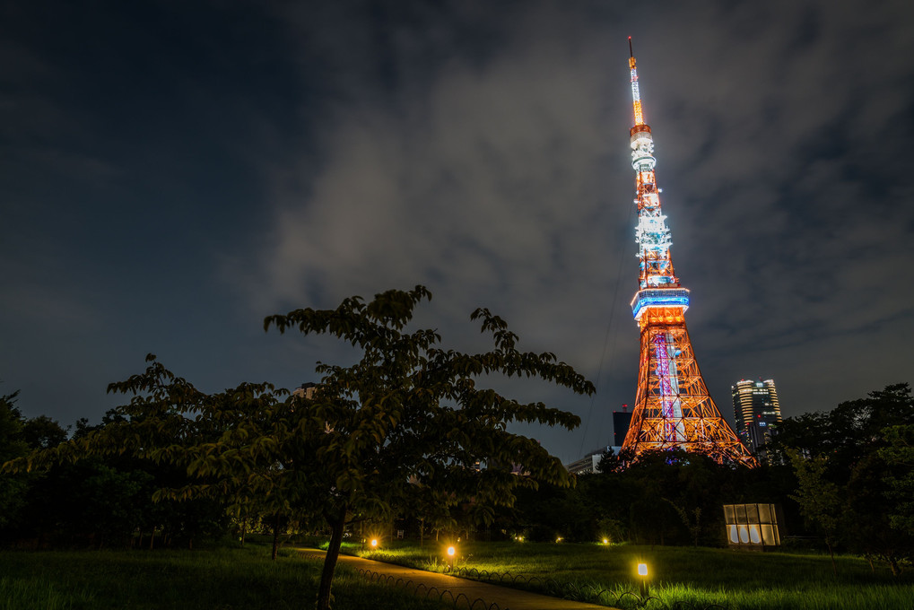 真夏の東京タワー
