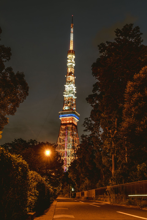 真夏の東京タワー