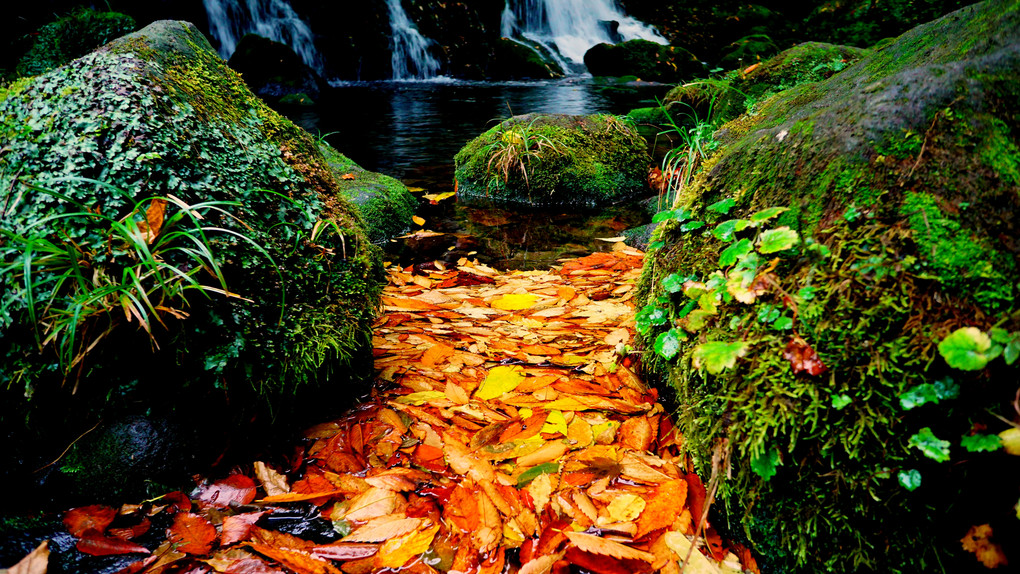 清流と滝と紅葉と