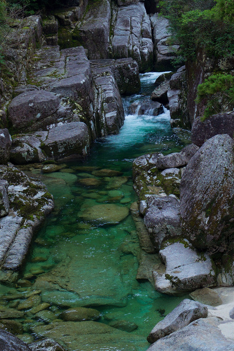 屋久島の渓流