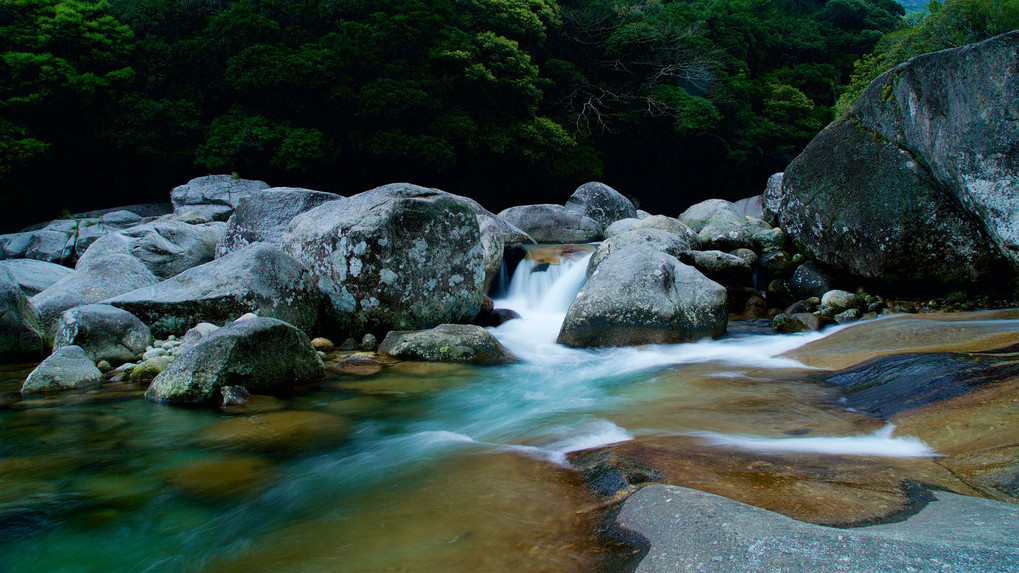 屋久島の渓流