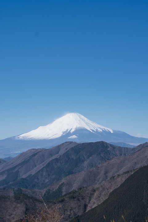 丹沢から見た富士山