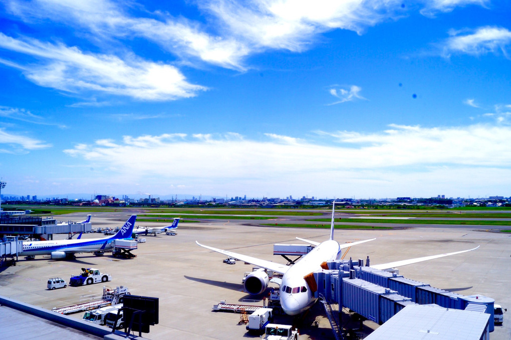 伊丹空港   I love blue♡