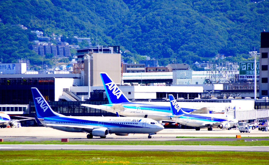 伊丹空港   I love blue♡