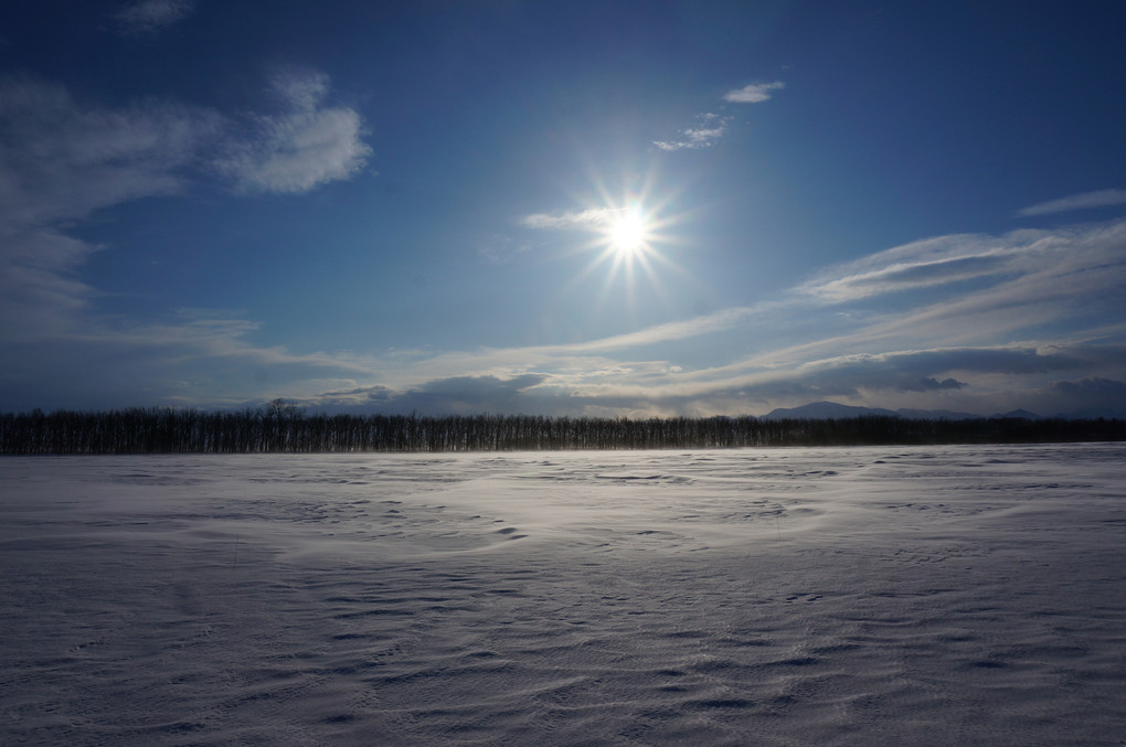 北海道　十勝の冬2015(2)