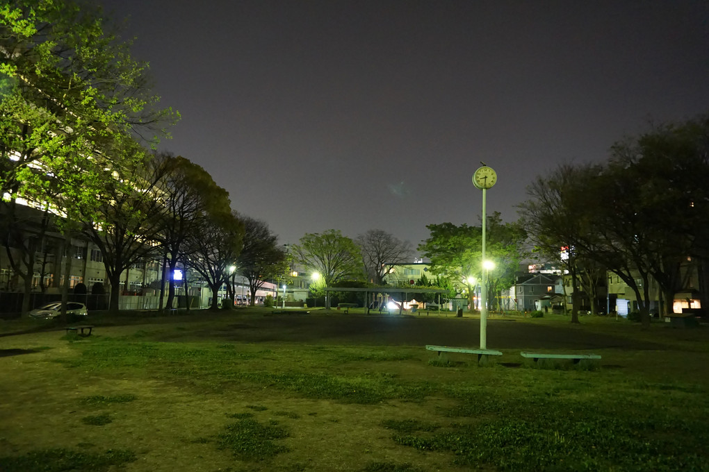 近くの公園の夜景