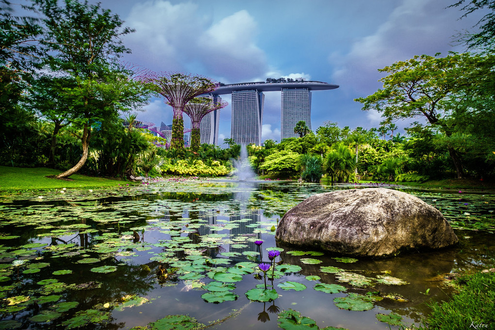 Deepest Gardens by the Bay with BAY SANDS