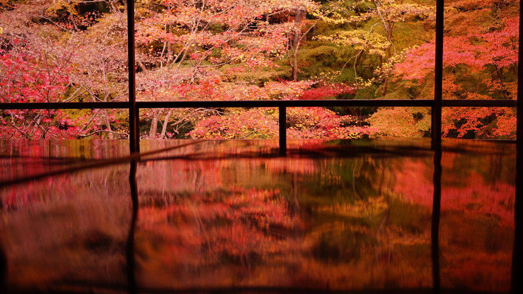 京都の紅葉2