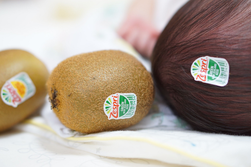 Kiwi Boy Mako ゚ さん Acafe Aの写真投稿サイト ソニー Kiwi Boy Mako ゚ さん Acafe Aの写真投稿サイト ソニー