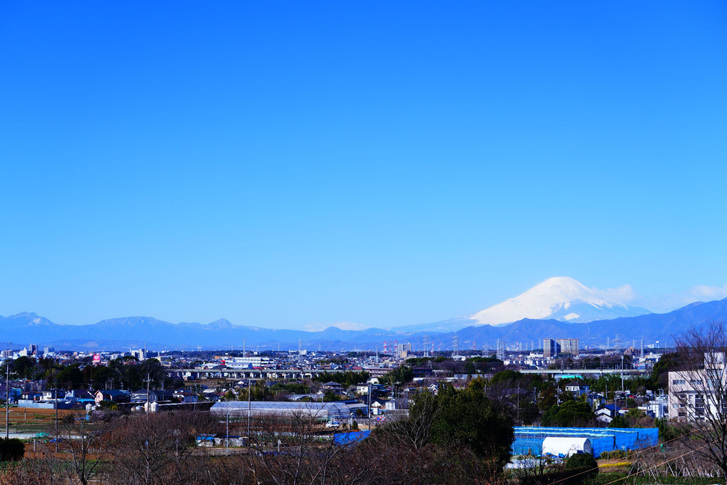 今朝の富士山 🗻　伊豆の峰々から大山と共に ❣